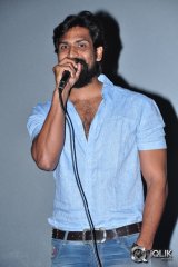 Krishna Gadi Veera Prema Gaadha Movie Success Tour